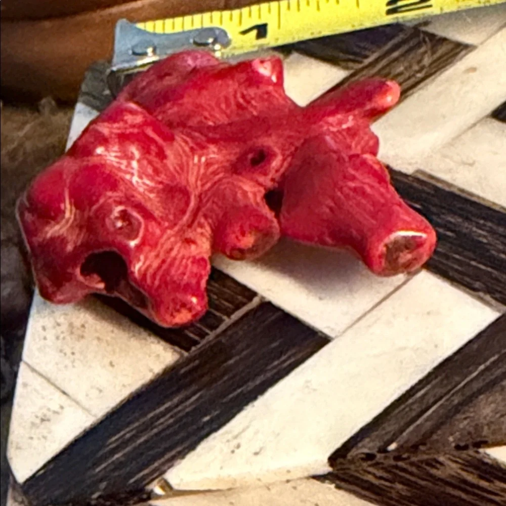 Red coral piece for Jewelry project I have had this for forty years